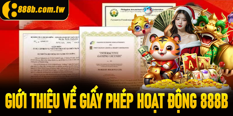 Giới thiệu về giấy phép hoạt động 888B
