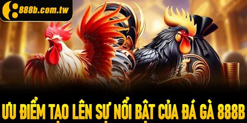 Những ưu điểm nổi bật tạo nên thương hiệu đá gà 888B