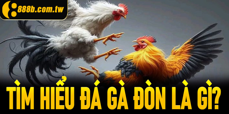 Tìm hiểu đá gà đòn là gì?