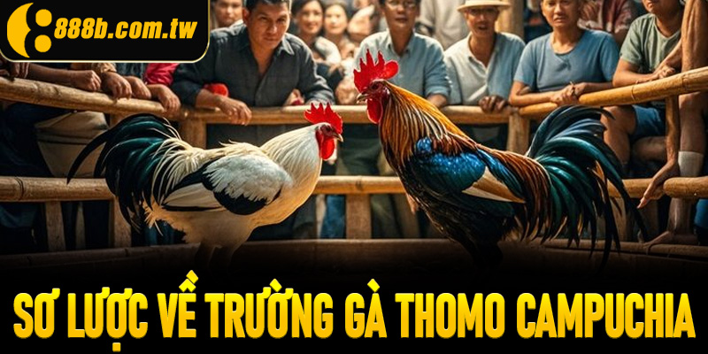 Thông tin sơ lược về trường gà Thomo Campuchia