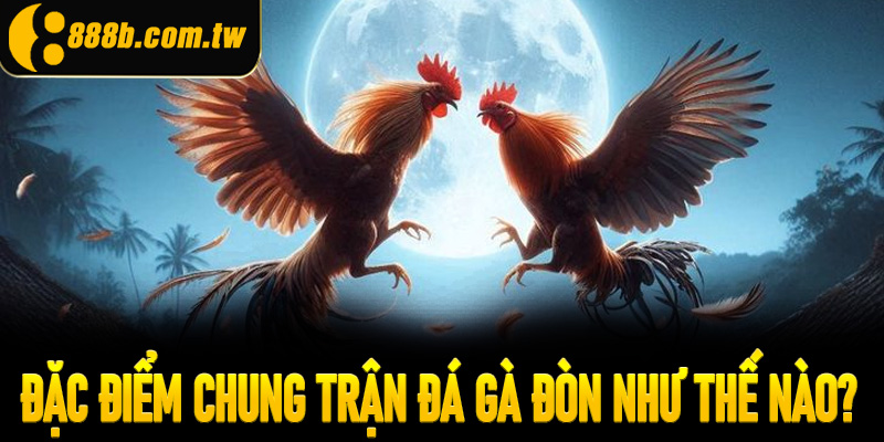 Đặc điểm chung trận đá gà đòn như thế nào?