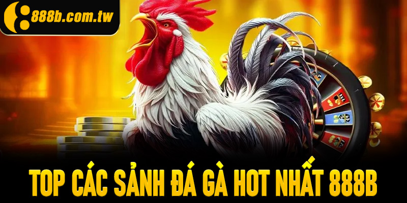 Top các sảnh đá gà hot nhất 888B