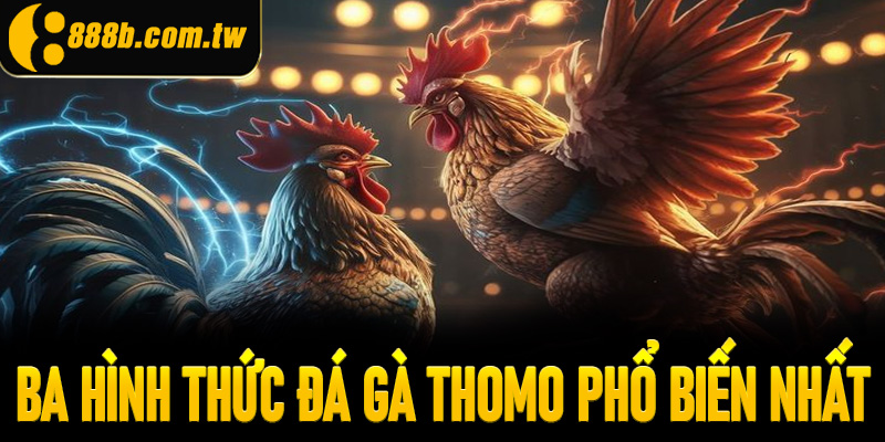 Ba hình thức đá gà Thomo phổ biến nhất