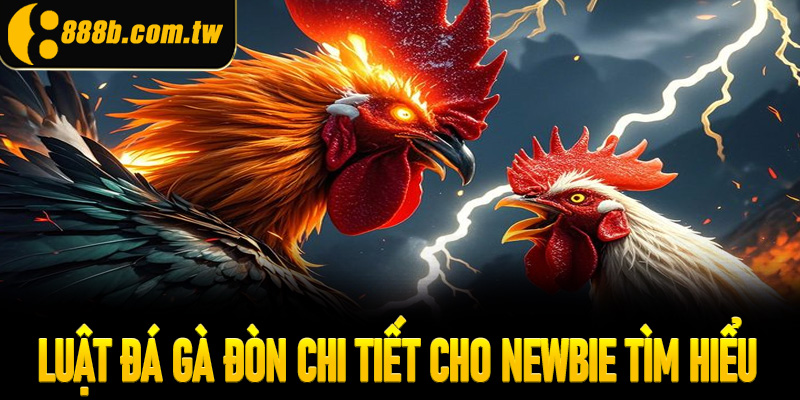 Luật đá gà đòn chi tiết cho newbie tìm hiểu