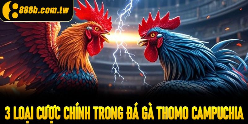 3 loại cược chính trong đá gà Thomo Campuchia