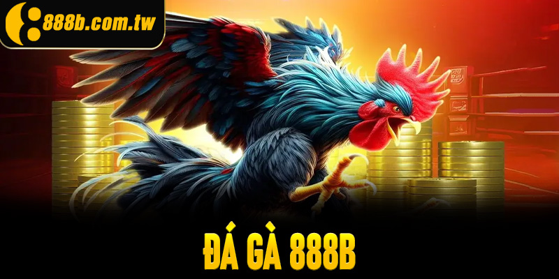 Đá Gà 888B - Bí Quyết Chinh Phục Mọi Kèo Cược