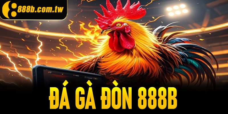 Đá gà đòn - Loại hình truyền thống hấp dẫn của người Việt